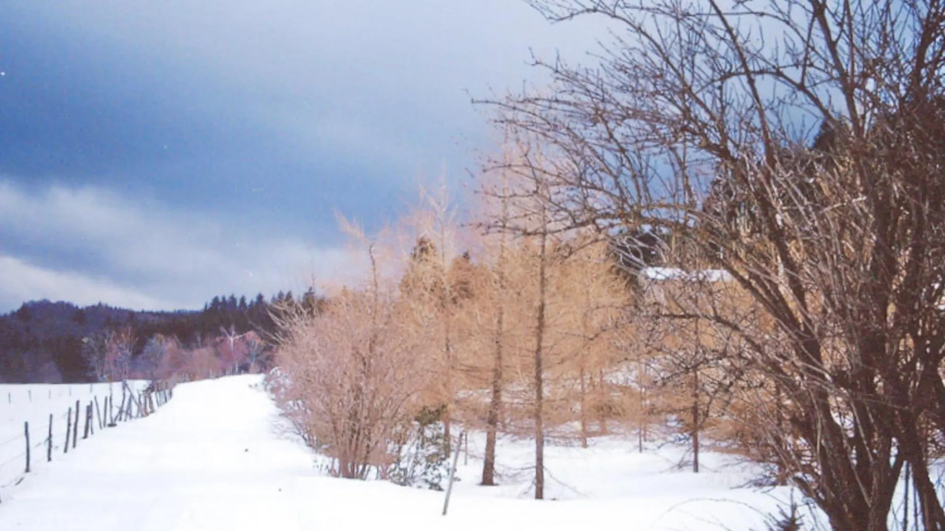 Charmant Gite Avec Terrasse, Cheminee Et Jardin, A Proximite Des Bois, Animaux Acceptes - Fr-1-496-205 Saint-Jean-Soleymieux Σπίτι διακοπών
