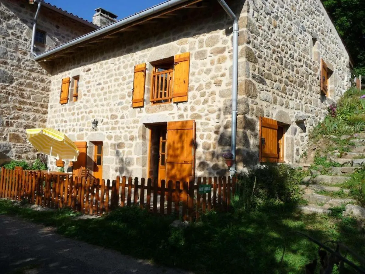 Charmant Gite Avec Terrasse, Cheminee Et Jardin, A Proximite Des Bois, Animaux Acceptes - Fr-1-496-205 Saint-Jean-Soleymieux