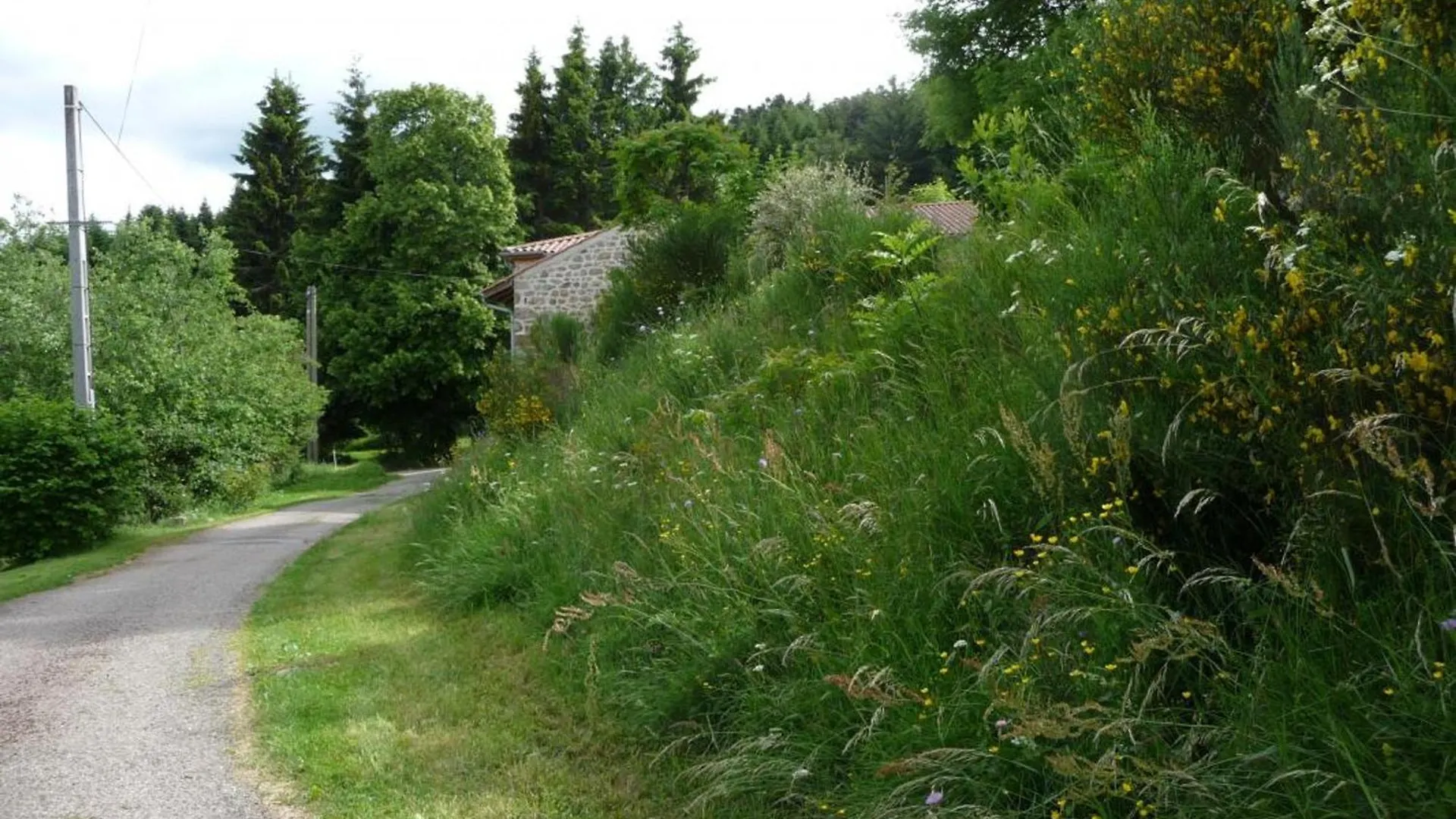 Charmant Gite Avec Terrasse, Cheminee Et Jardin, A Proximite Des Bois, Animaux Acceptes - Fr-1-496-205 Saint-Jean-Soleymieux France